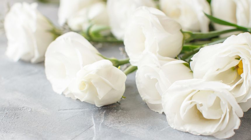 White roses