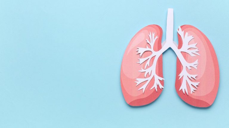 A digital drawing of lungs against a light blue background.